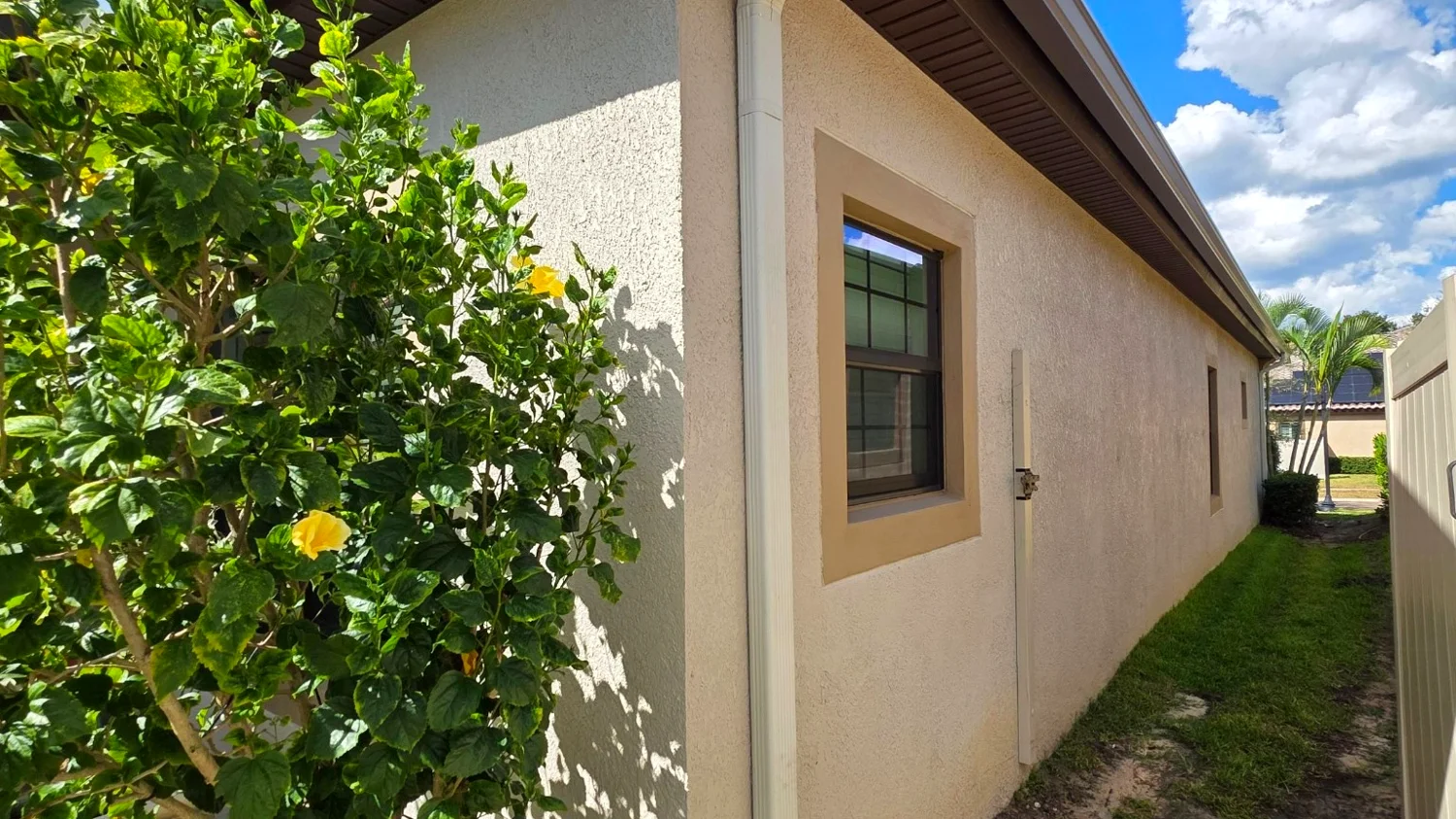 Side-yard drainage and downspout on a Florida home