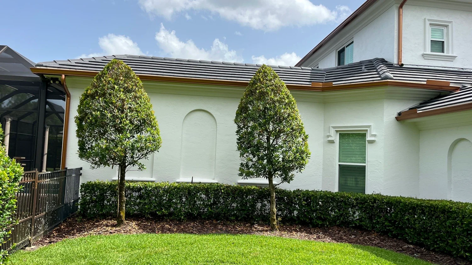 Lutz, FL
